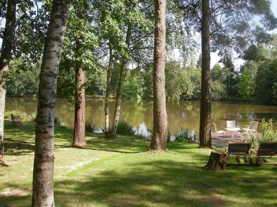 Paradis Perdu En Sologne Avec Plage Privee Villeny Extérieur photo