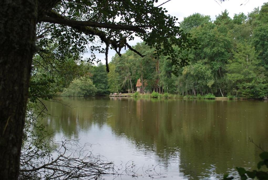Paradis Perdu En Sologne Avec Plage Privee Villeny Extérieur photo